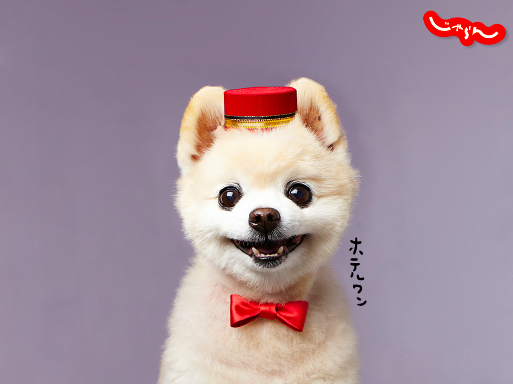 shunsuke_main_1024_768