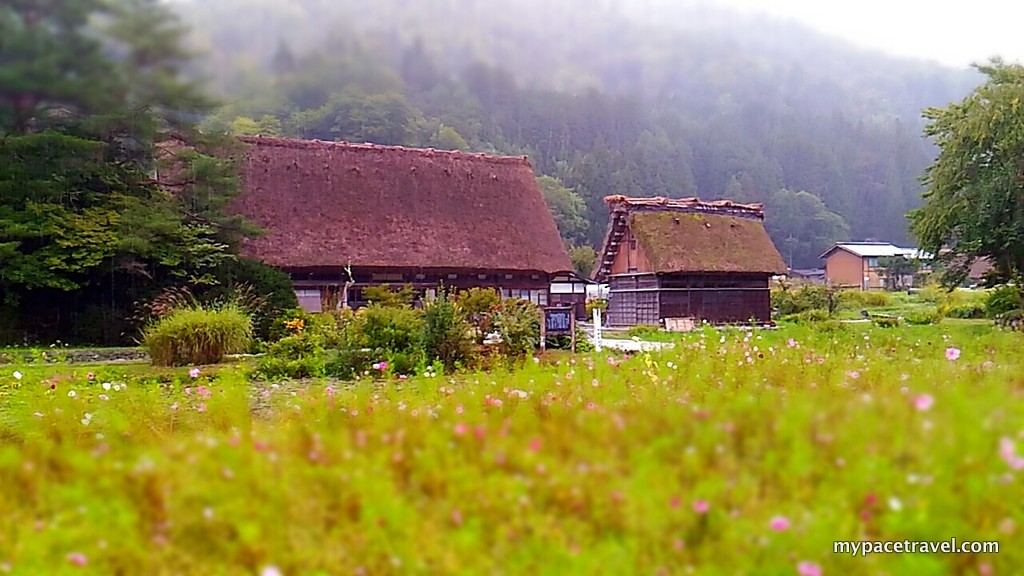 P_20151001_150105_MT