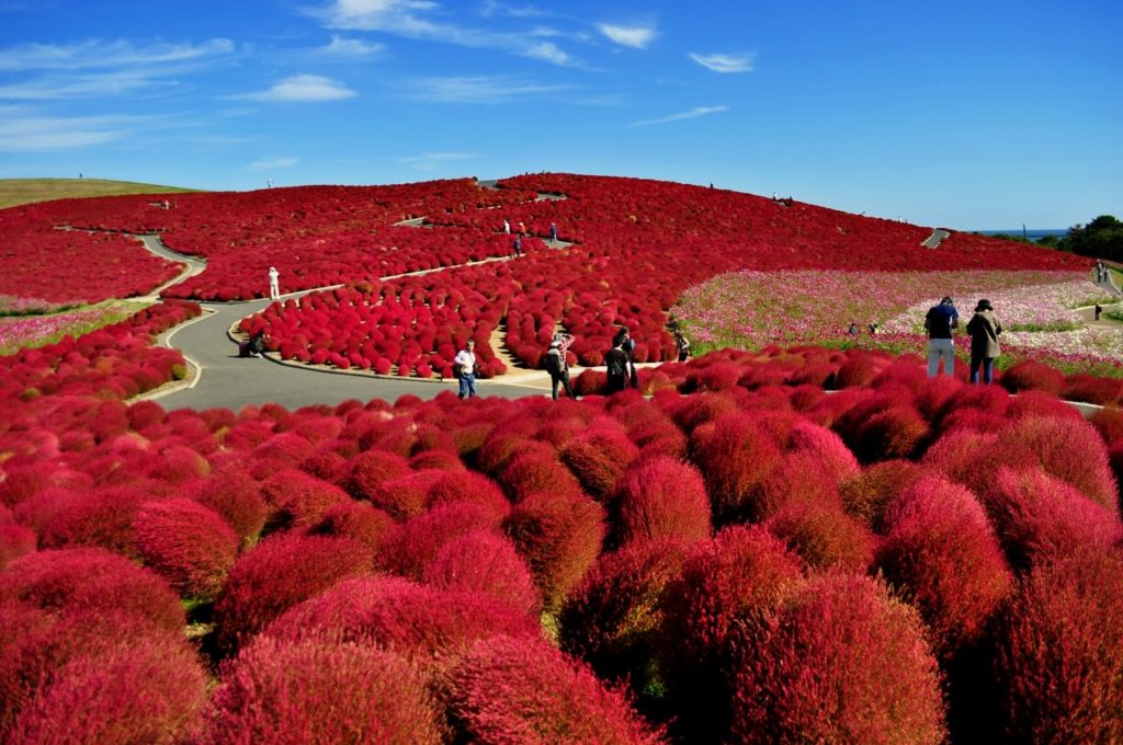 667dc00df046790547f2ead0659993b4