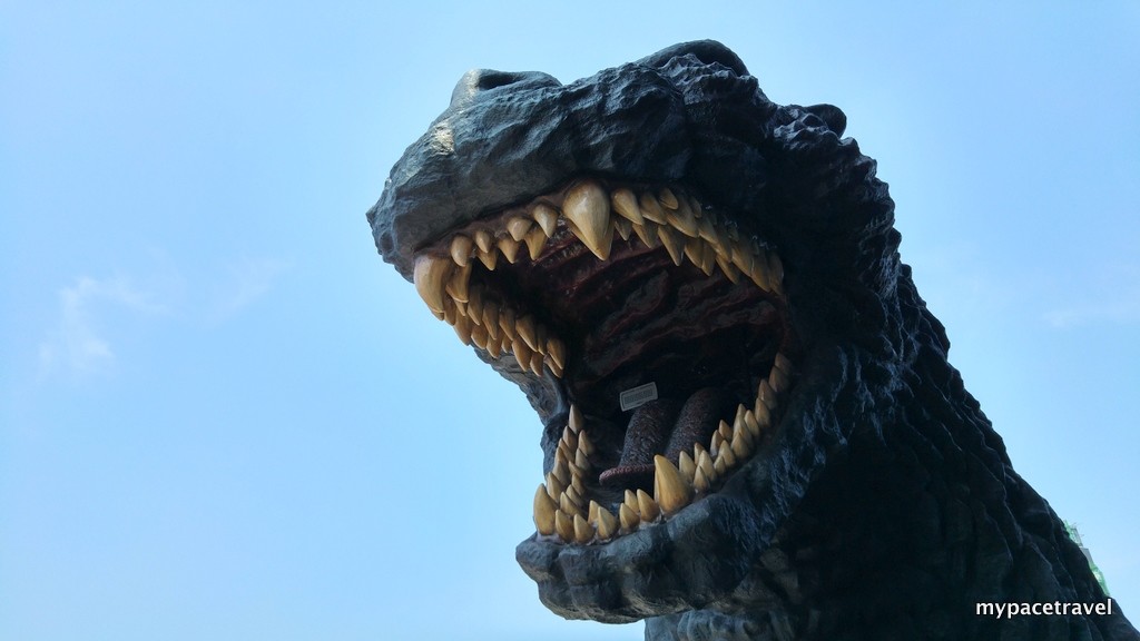 20150807_103649_HDR-001